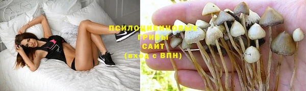 мет Алзамай